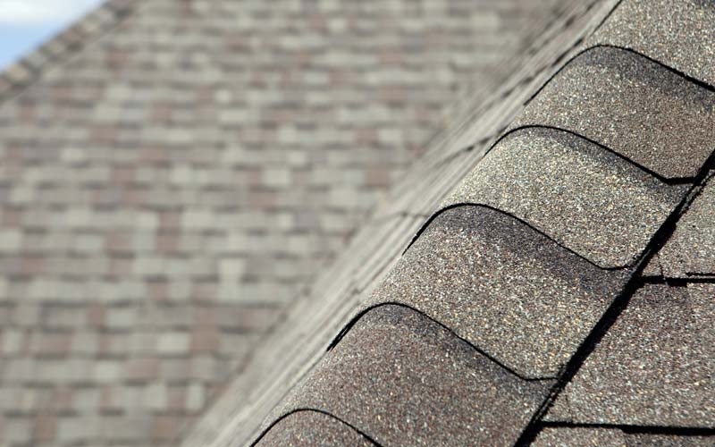 Asphalt Shingle Roof