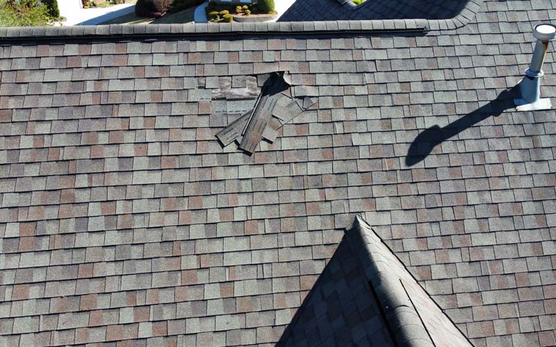 Wind Damage